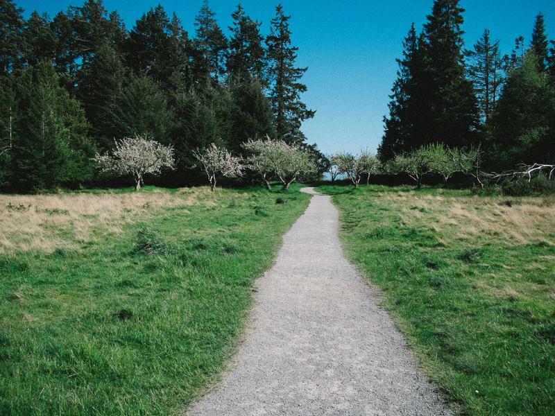 45度人生<br>sybmuzg.cn 卷又卷不动躺又躺不平